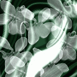 saintpatricksforte150-4 saintpatricksforte150-4