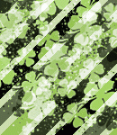 theasylumtallsaintpatricks-006 theasylumtallsaintpatricks-006