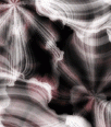 extremecolorbkgds-038