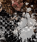 2020asylumtall150x130-063