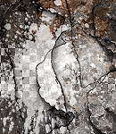 2020asylumtall150x130-082