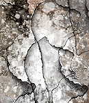 2020asylumtall150x130-066