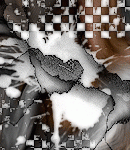 2021asylumtall150x130-097