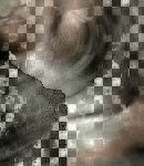 2021asylumtall150x130-106
