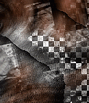 2021asylumtall150x130-119