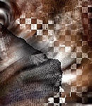2021asylumtall150x130-120