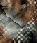 2021asylumtall150x130-123