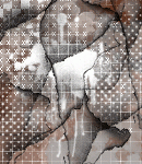2021asylumtall150x130-156