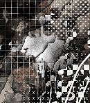 2021asylumtall150x130-160