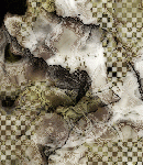 forteasylumbkgd-016