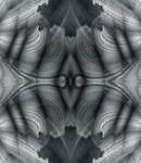 asylumkaleidtall150x130-009 asylumkaleidtall150x130-009