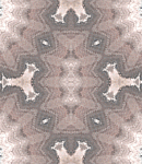 asylumkaleidtall150x130-025