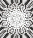 kaleidasylumbkgdstalls-053 kaleidasylumbkgdstalls-053