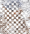 2019megsasylum-102