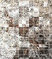 2019megsasylum-108