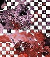 theasylummegabkgds2017--170 theasylummegabkgds2017--170