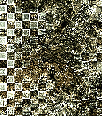 theasylummegabkgds2017-040
