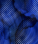 2024-DesignsbyForteBkgds-42 2024-DesignsbyForteBkgds-42