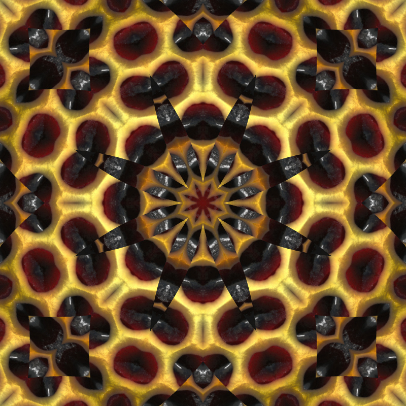 asylumkaleidoscope-032