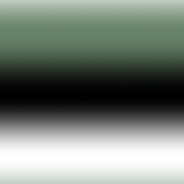 iezomibienetpspsinglepatterns 213