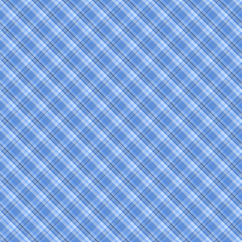 asylumplaid800x800-109