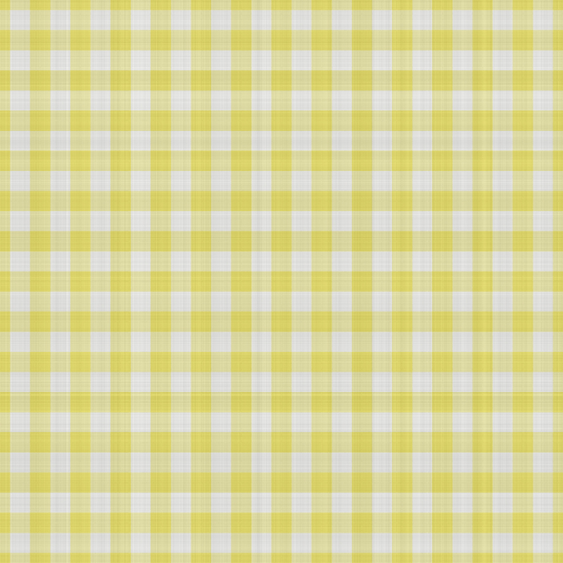 asylumgingham800x800-003