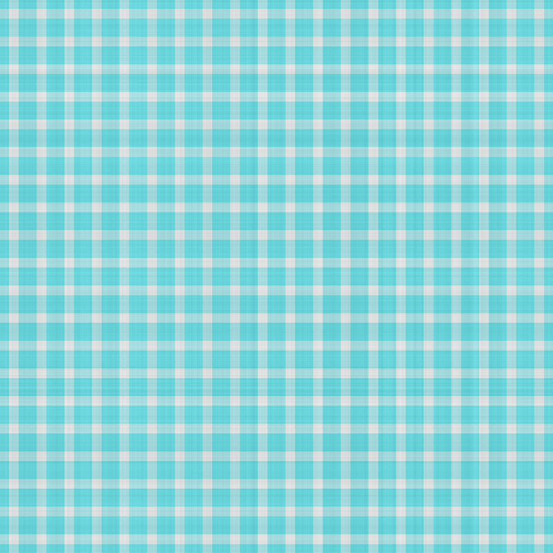 asylumgingham800x800-004