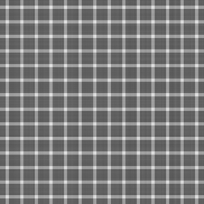 asylumgingham800x800-007