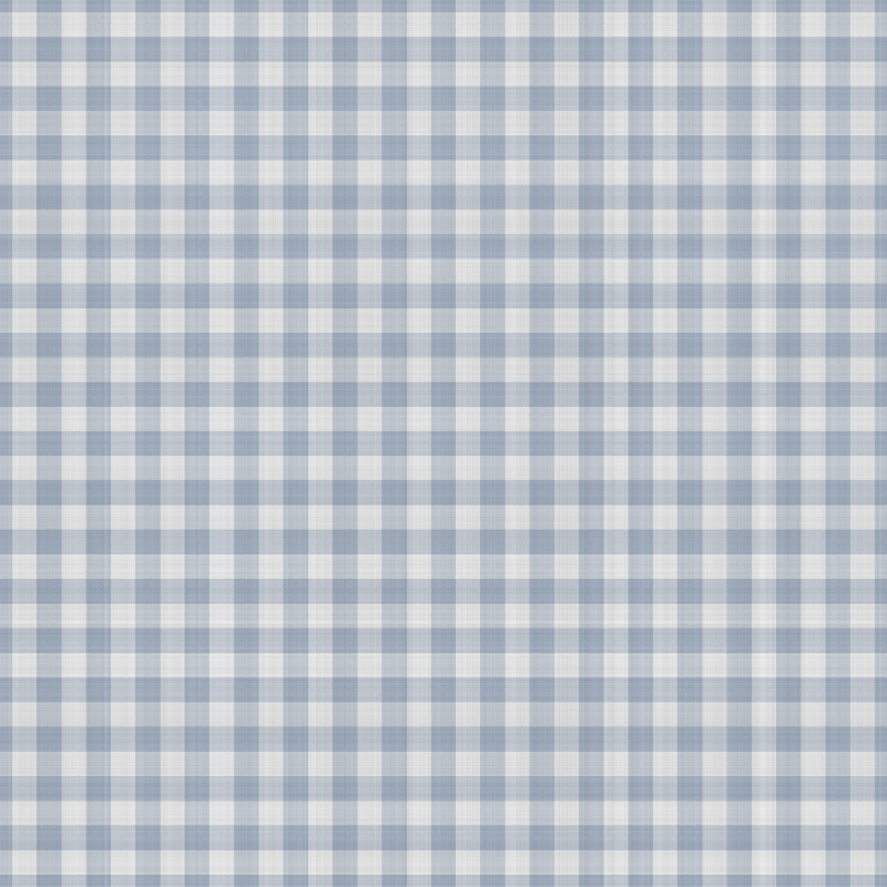 asylumgingham800x800-026