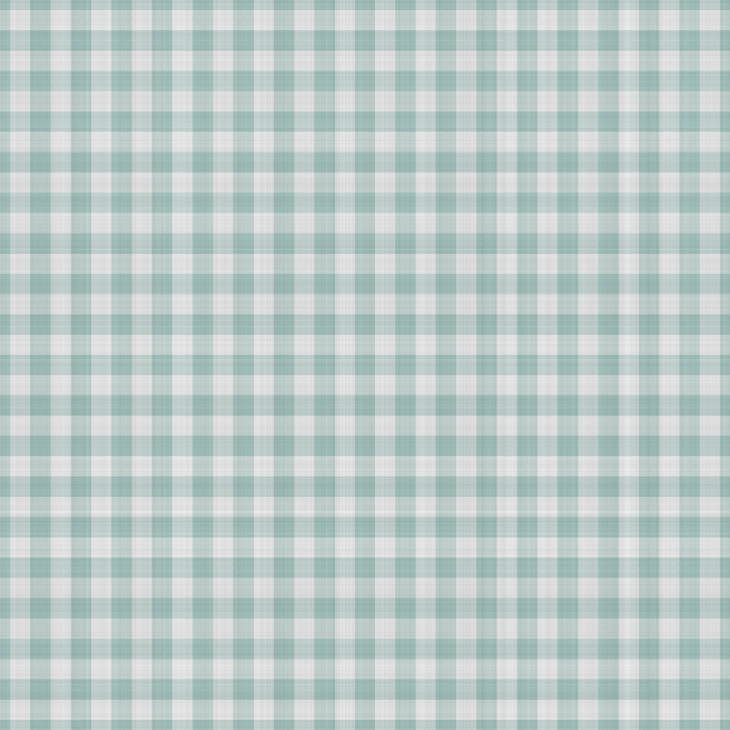 asylumgingham800x800-027