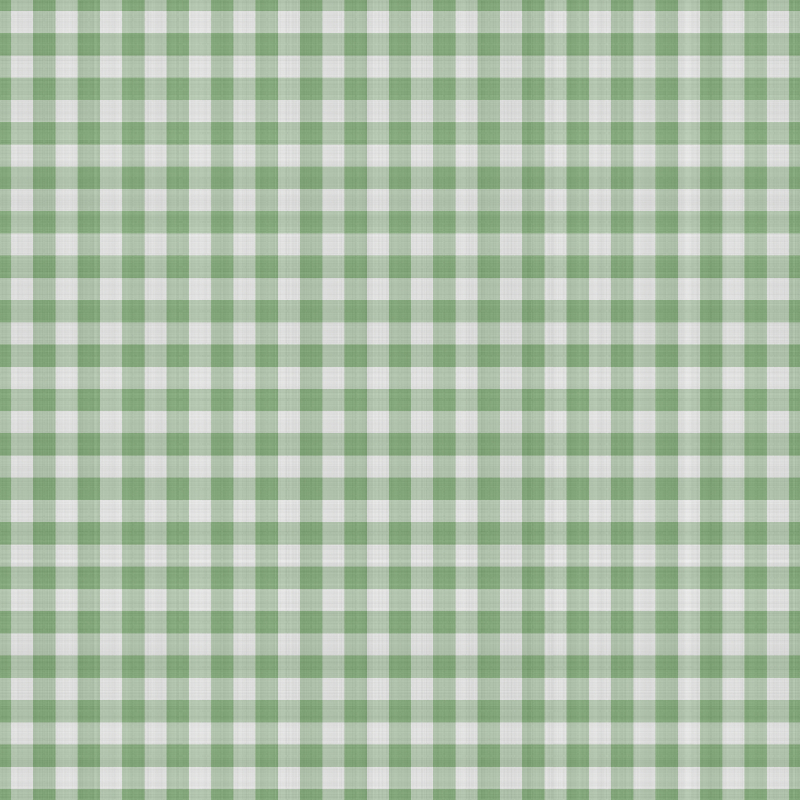 asylumgingham800x800-028