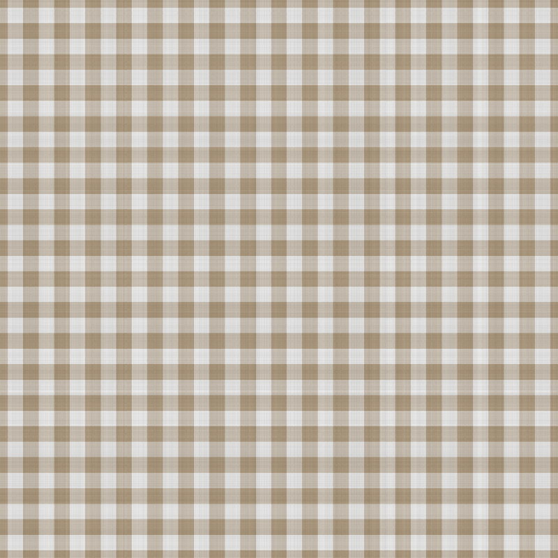 asylumgingham800x800-029