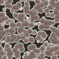 asylumhalloweenoverlaysbubbles-007 asylumhalloweenoverlaysbubbles-007