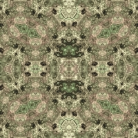 asylumkaleidoscope-044