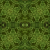 asylumkaleidoscope-045