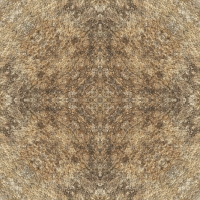 asylumkaleidoscope-093