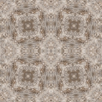 asylumkaleidoscope-099
