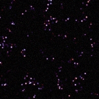asylumgalaxytextures800x800-043 asylumgalaxytextures800x800-043