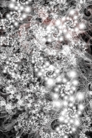 asylumbkgds720x1080-002 asylumbkgds720x1080-002