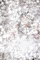 asylumbkgds720x1080-005 asylumbkgds720x1080-005