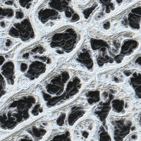 asylumendertexture1000x1000-006 asylumendertexture1000x1000-006