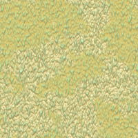 2026-DesignsbyForteStucco-18 2026-DesignsbyForteStucco-18