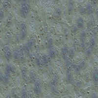 2026-DesignsbyForteRockFossil-01