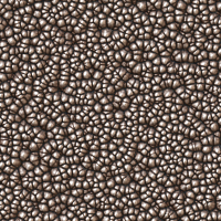 2026-DesignsbyForteGravel-01