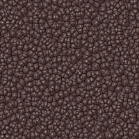 2026-DesignsbyForteGravel-03