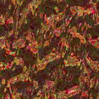 2026-DesignsbyFortePsyoil-04