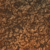 asylumgoldleaf1000x1000-013 asylumgoldleaf1000x1000-013