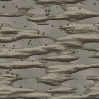 asylumbeachtextures800x800-06 asylumbeachtextures800x800-06