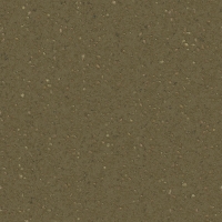 asylumsummertextures-007