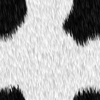 iezomibienetpspsinglepatterns 031 iezomibienetpspsinglepatterns 031
